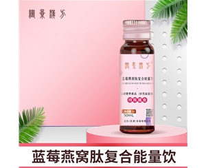 蓝莓燕窝肽复合能量饮